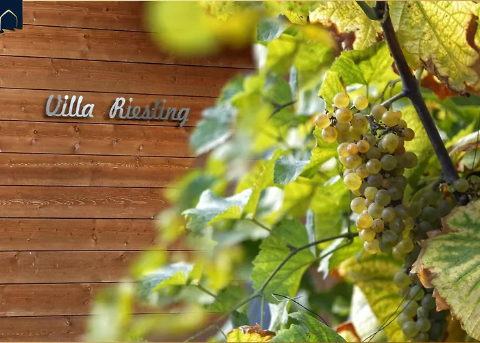펜션 Riesling 젤핀